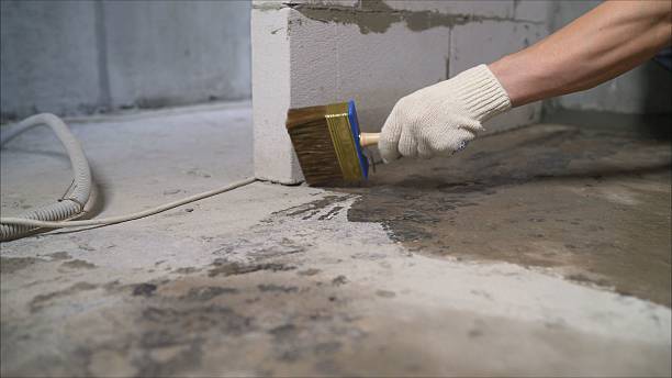 24/7 Emergency Crawl Space Encapsulation experts in Young America, IN